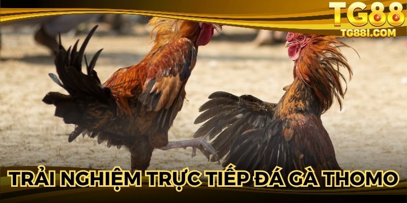 Người chơi sẽ được trải nghiệm video chất lượng cuốn hút